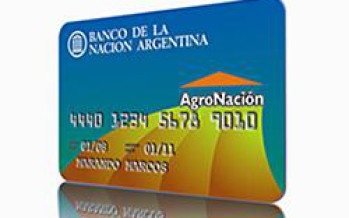 Estafa: tarjeta de crédito robada