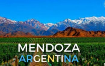 Inoperancia y doble discurso
