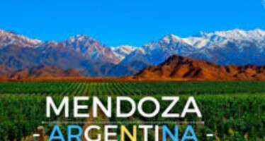 Inoperancia y doble discurso