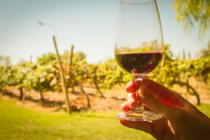 turismo_del_vino
