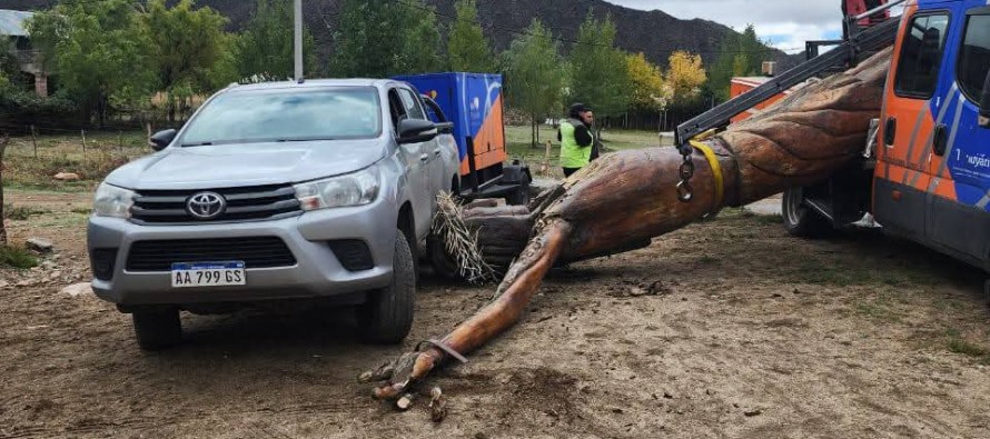 volcó la grúa que cambiaba el Cristo en el paraje Manzano Histórico